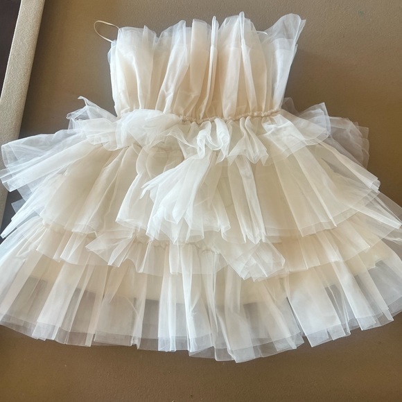 I accidentally ordered two ! Use steam to make it look like it’s on the model ! - Picture 1 of 4